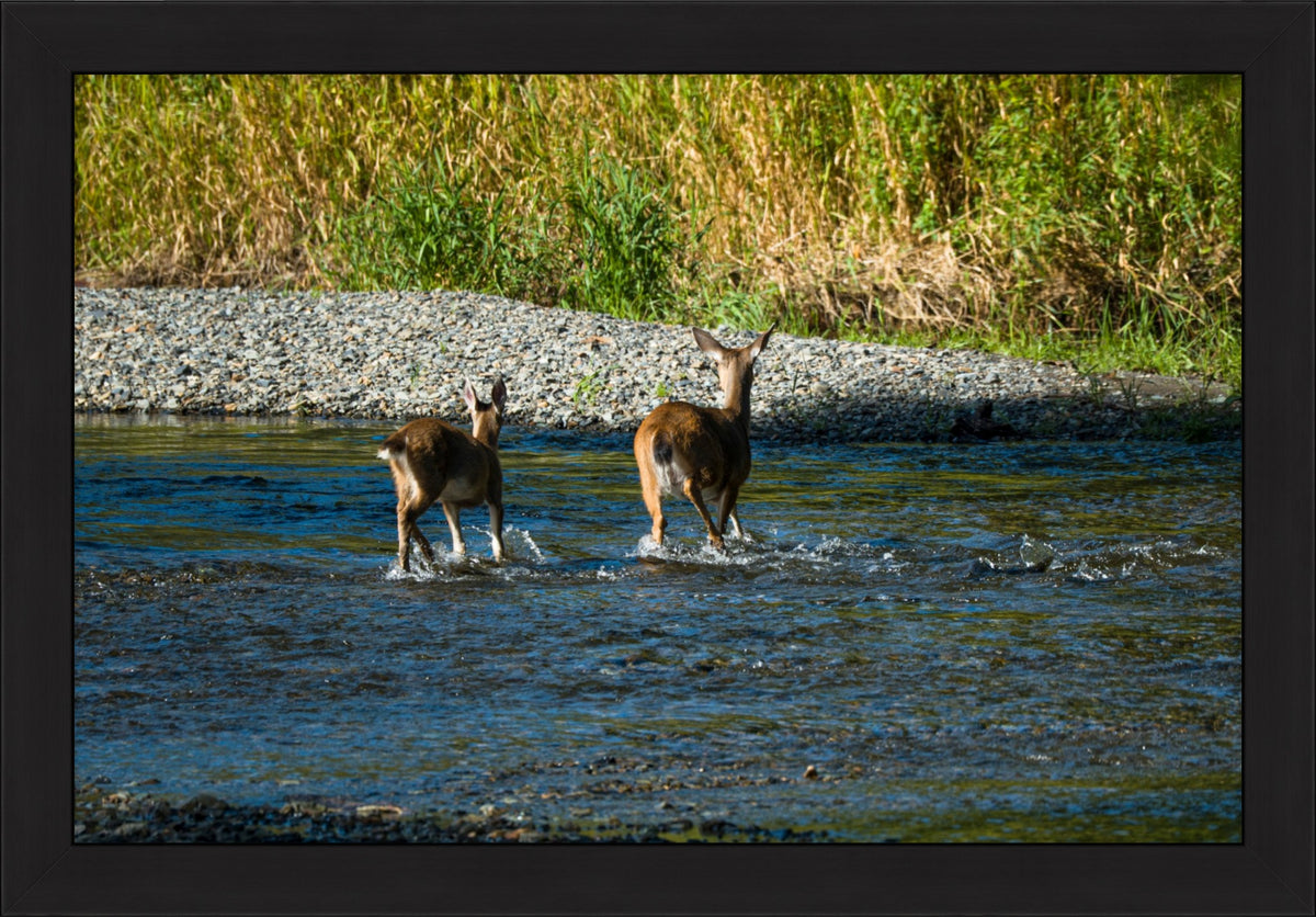 Crossing Together