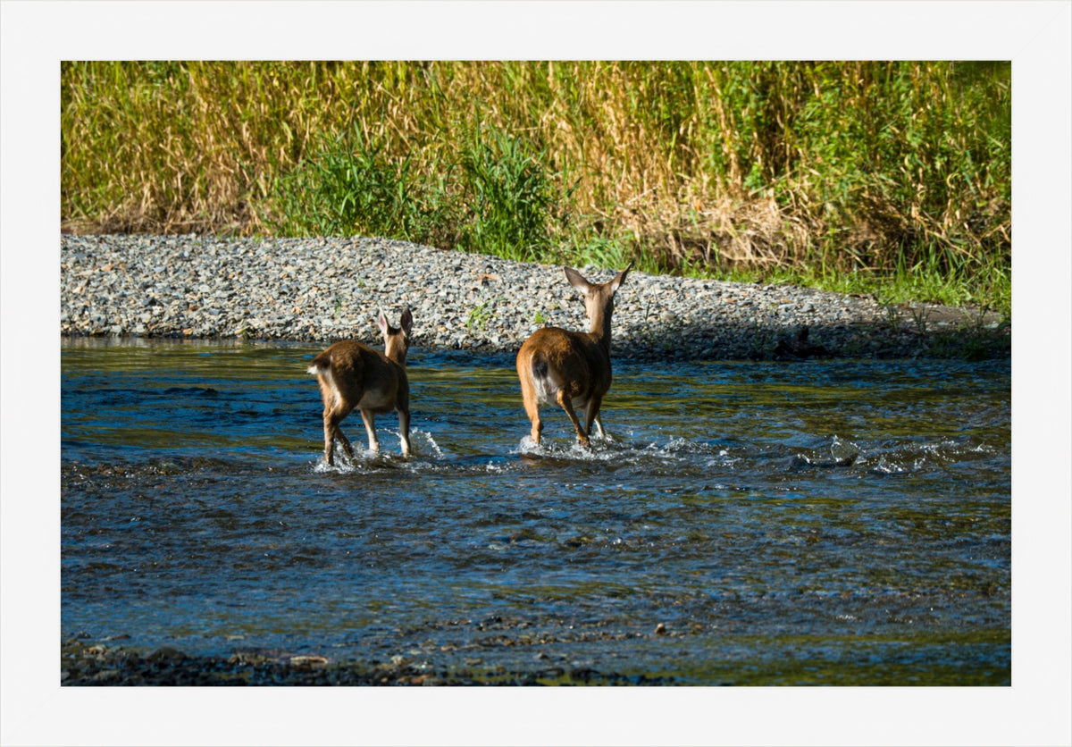 Crossing Together