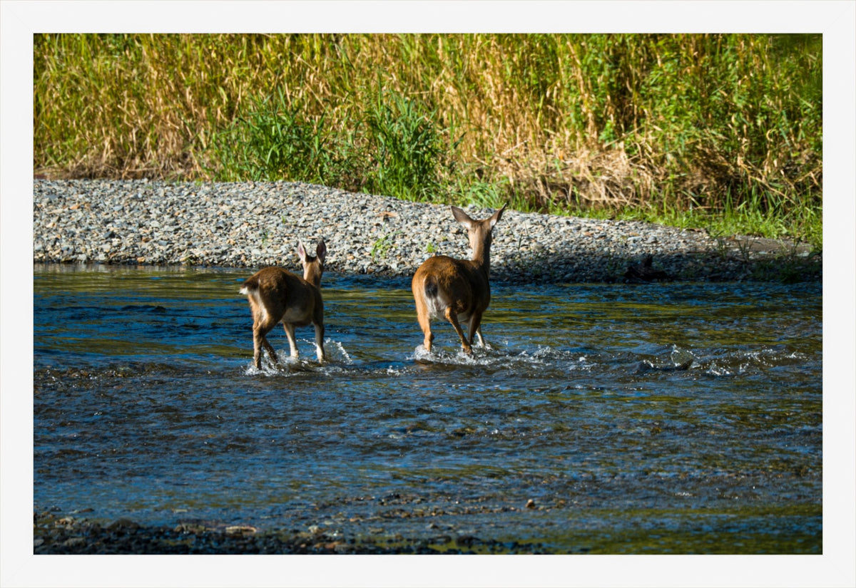 Crossing Together