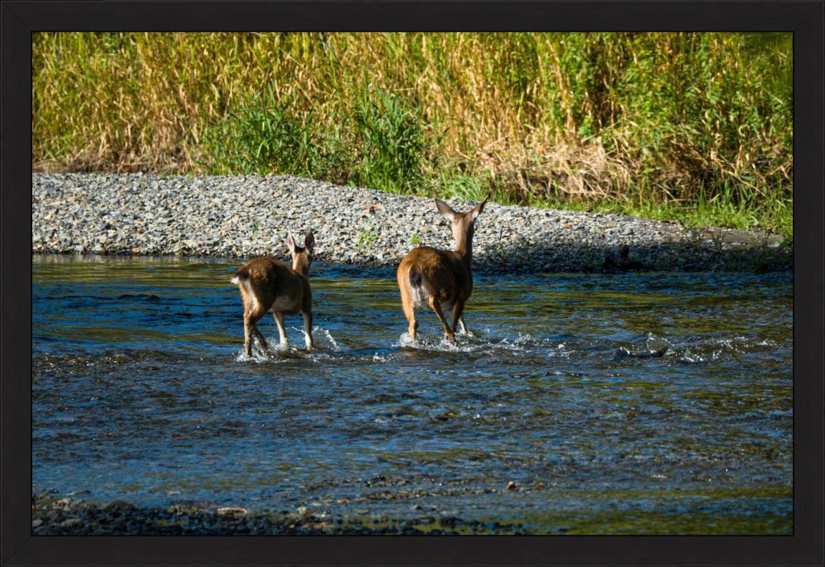 Crossing Together