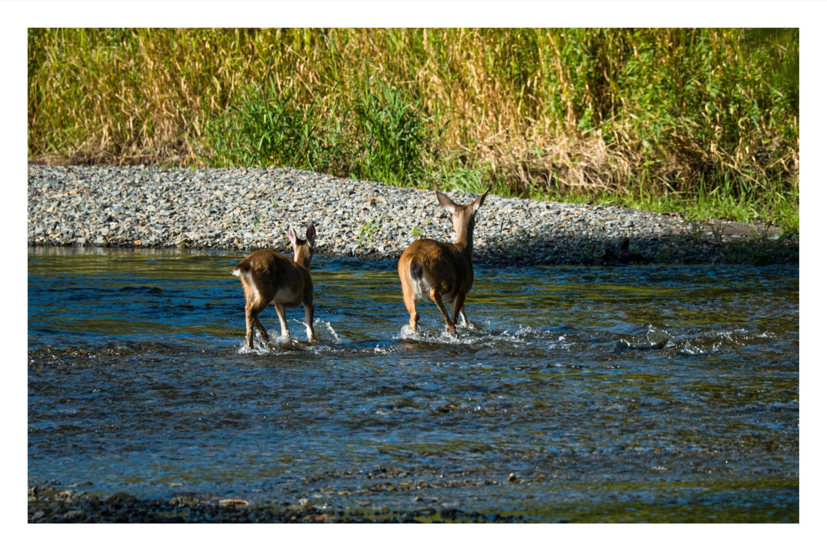 Crossing Together