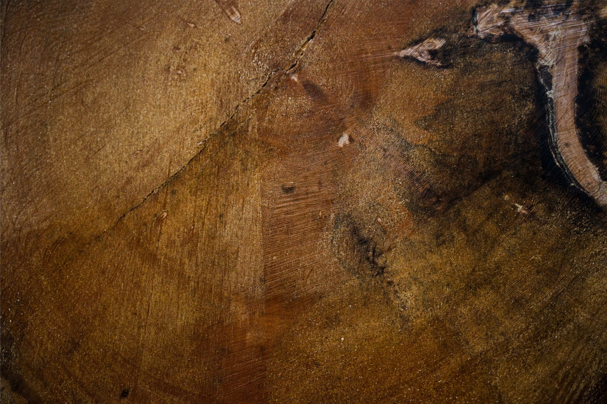 A Record of Seasons