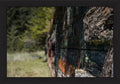Weathered by Time