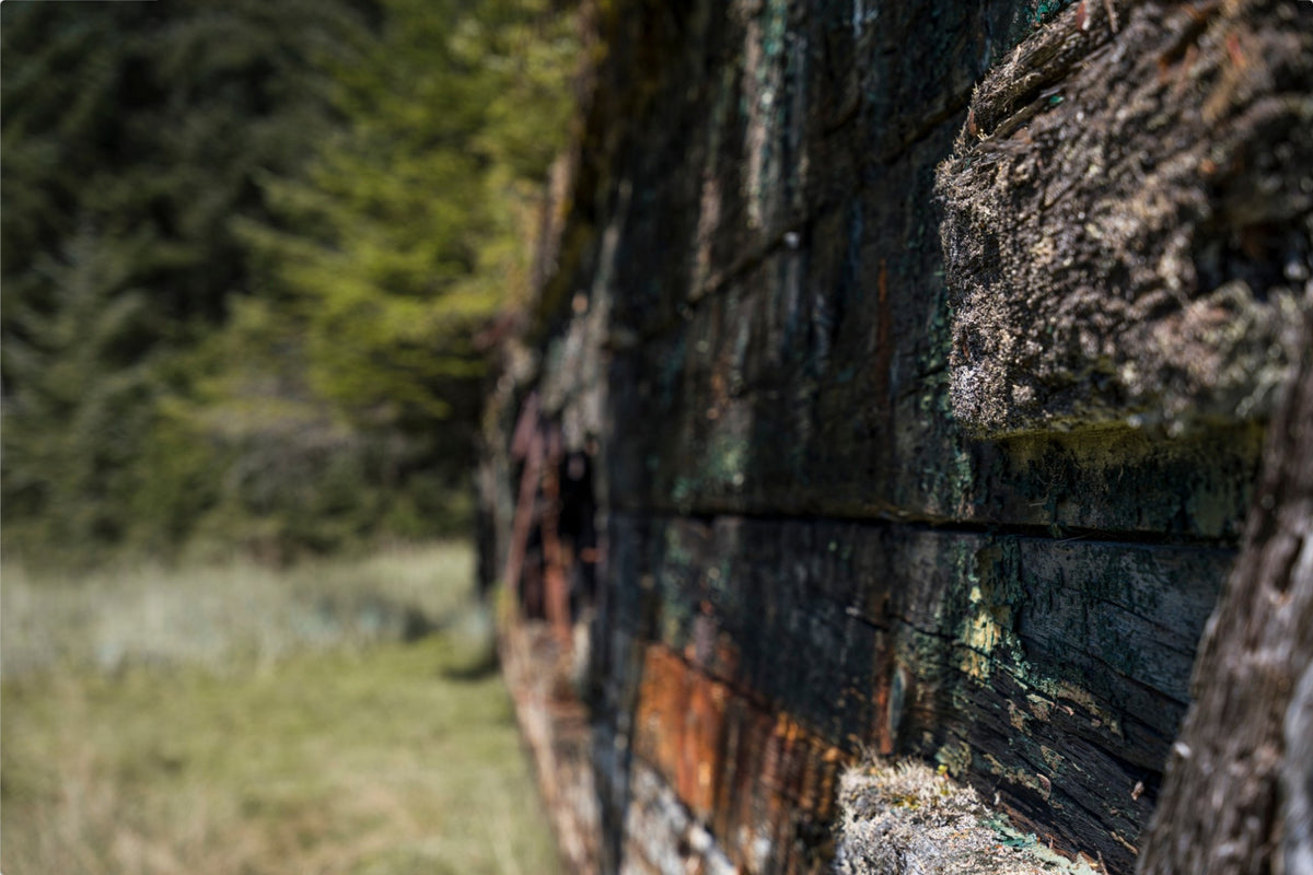 Weathered by Time