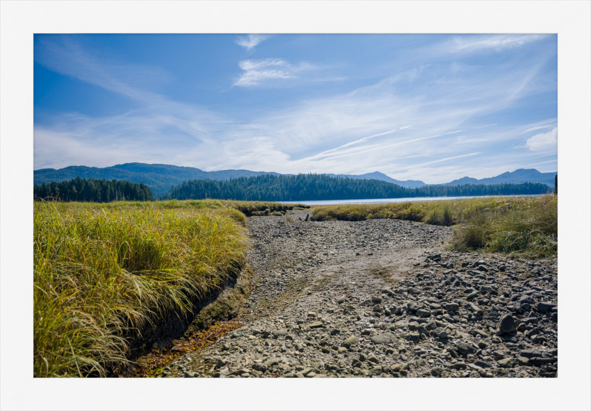 Where the Tide Returns