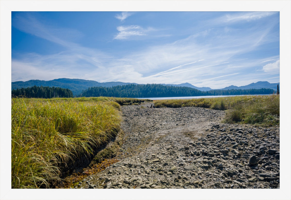 Where the Tide Returns