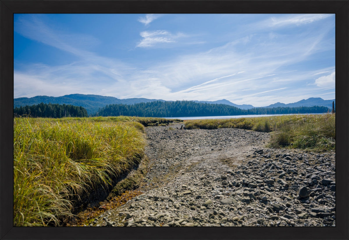 Where the Tide Returns