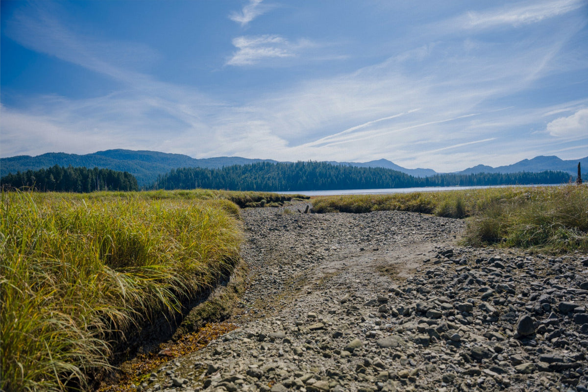 Where the Tide Returns