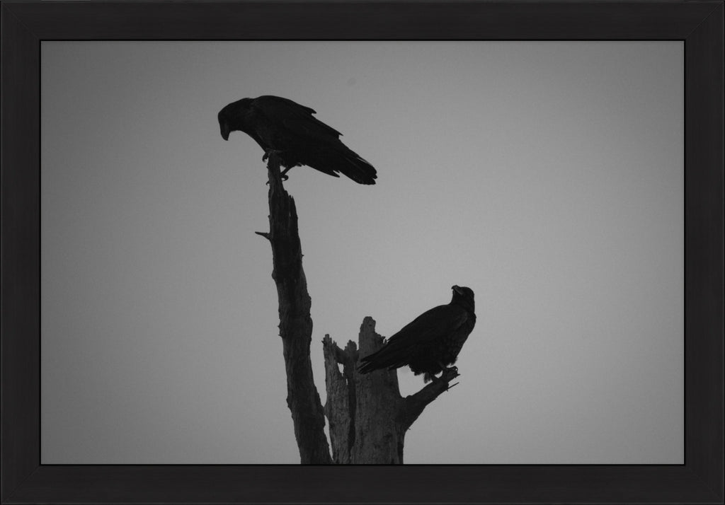 The Watchers