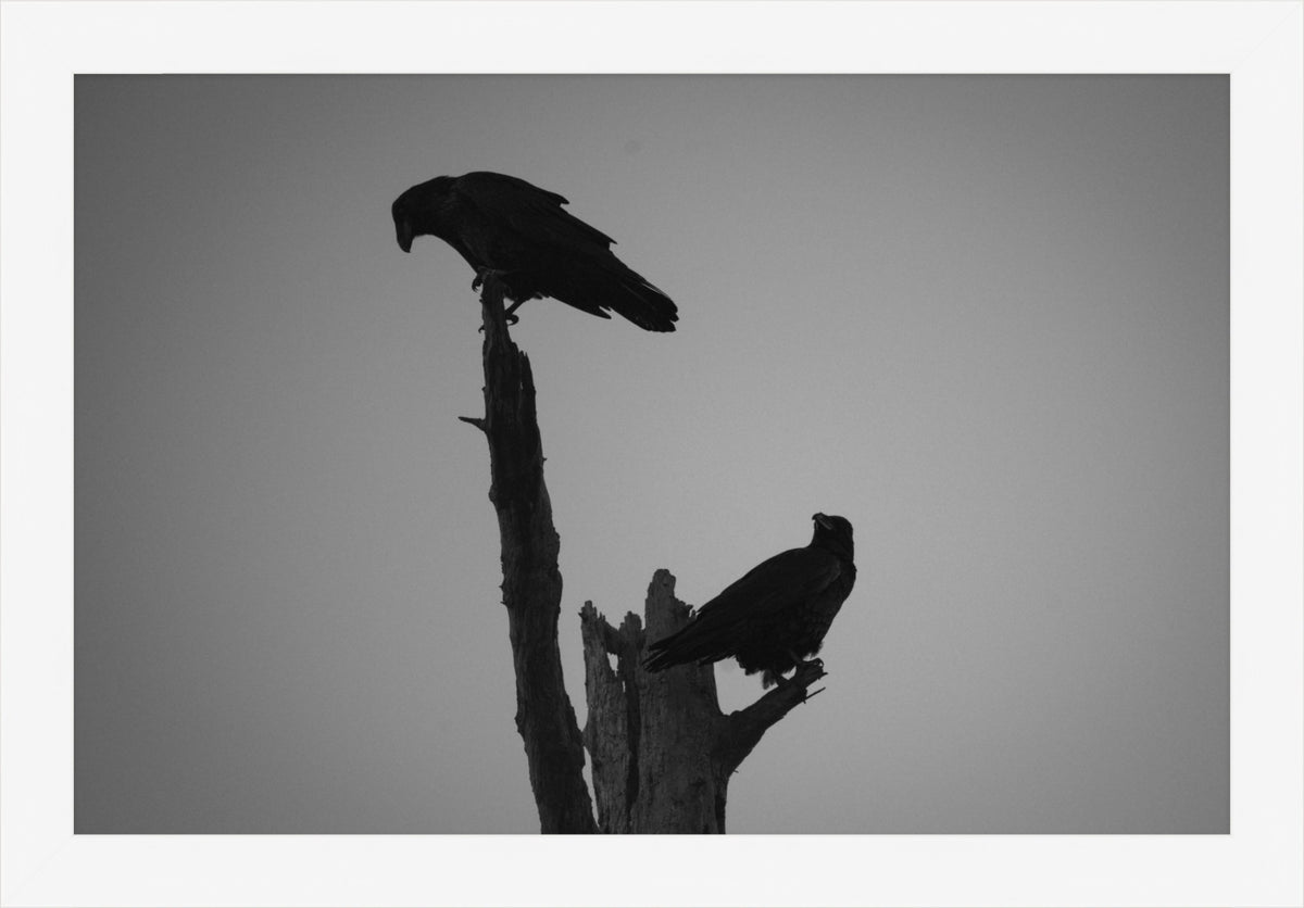 The Watchers