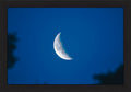 Moon in Blue