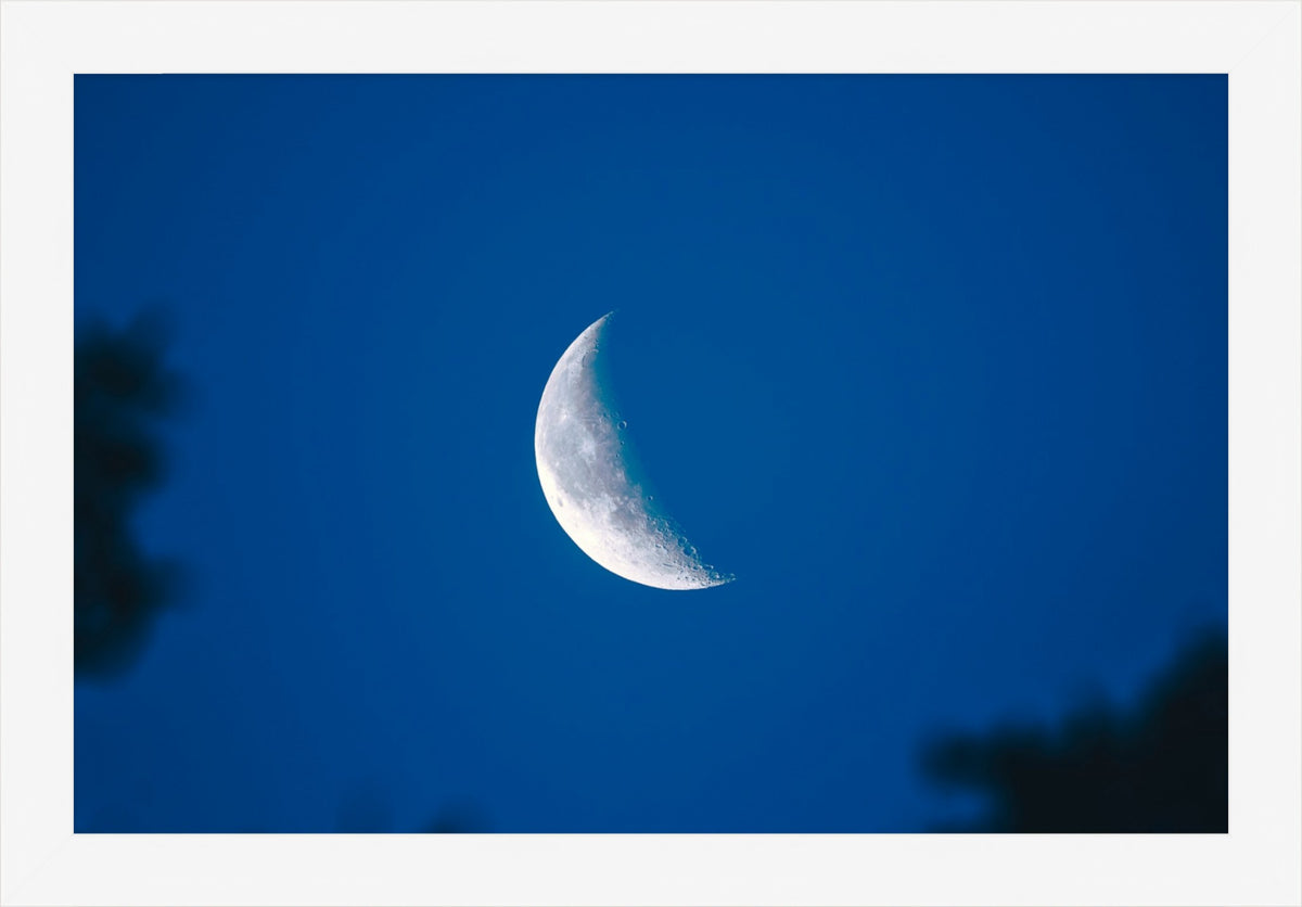 Moon in Blue