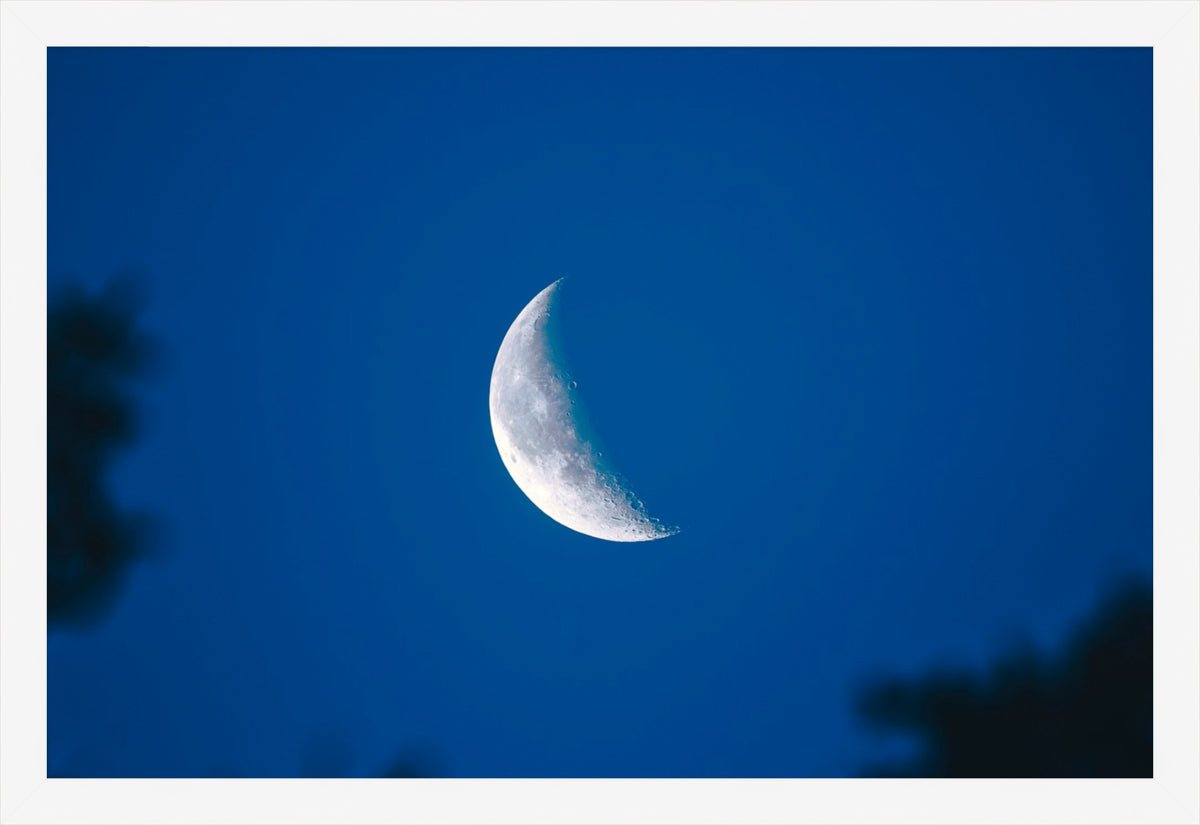 Moon in Blue