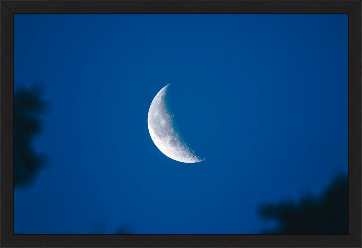 Moon in Blue
