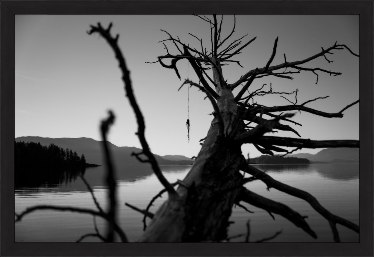 The Fallen Sentinel