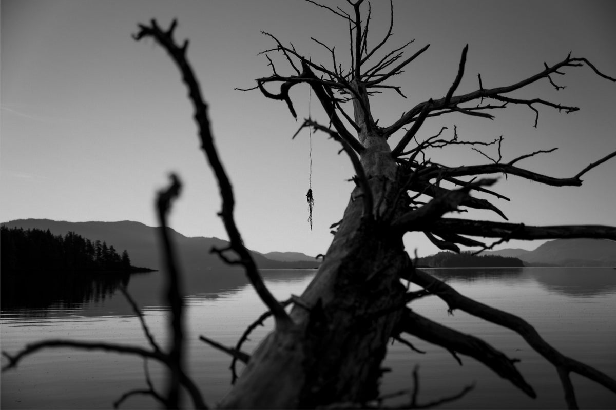 The Fallen Sentinel