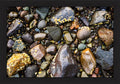 Stones of the Shore