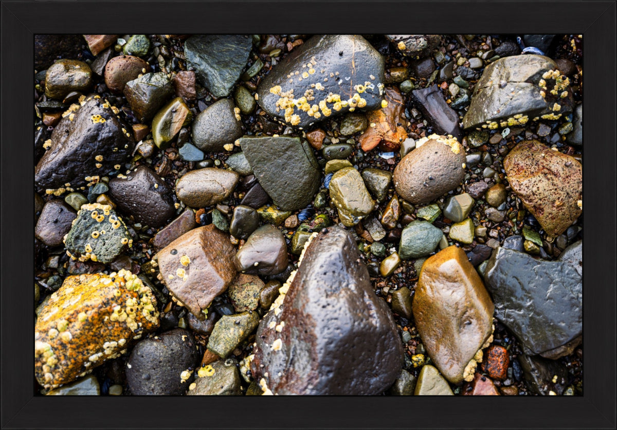 Stones of the Shore