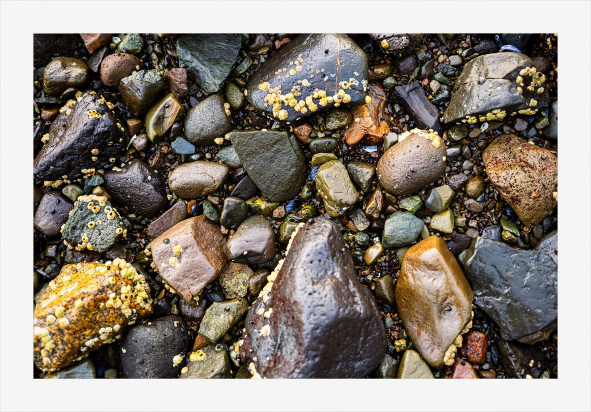 Stones of the Shore