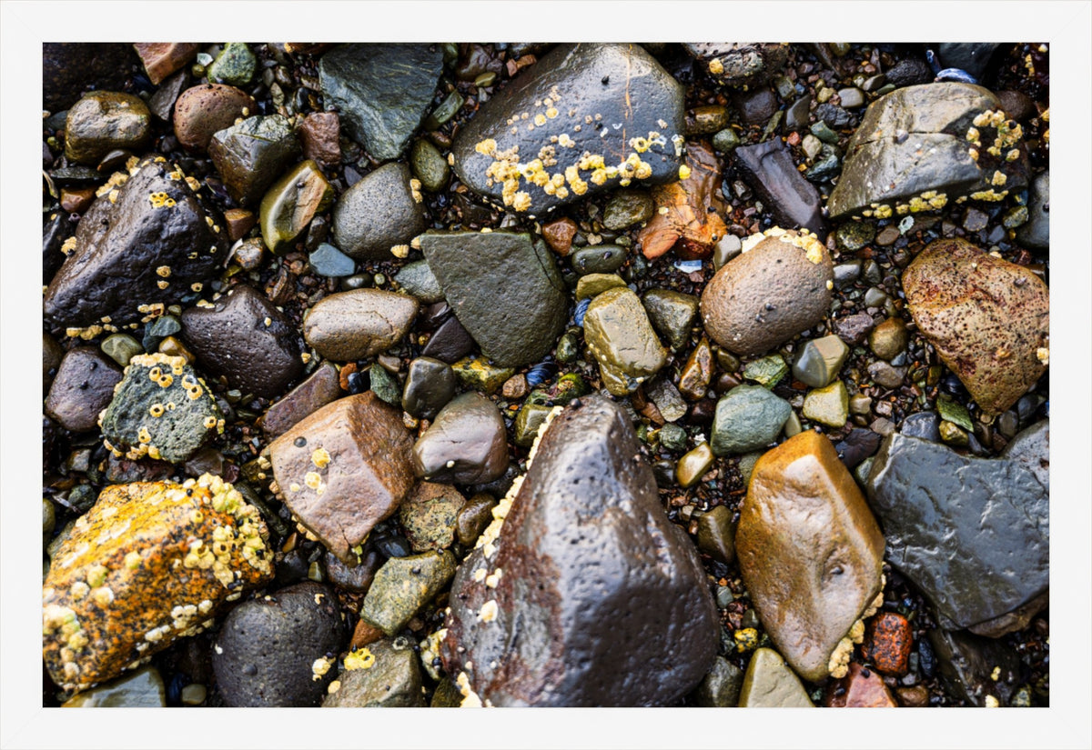 Stones of the Shore