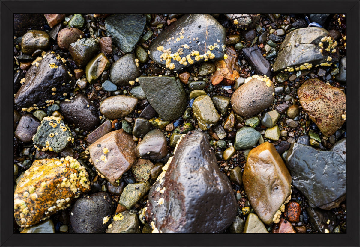 Stones of the Shore