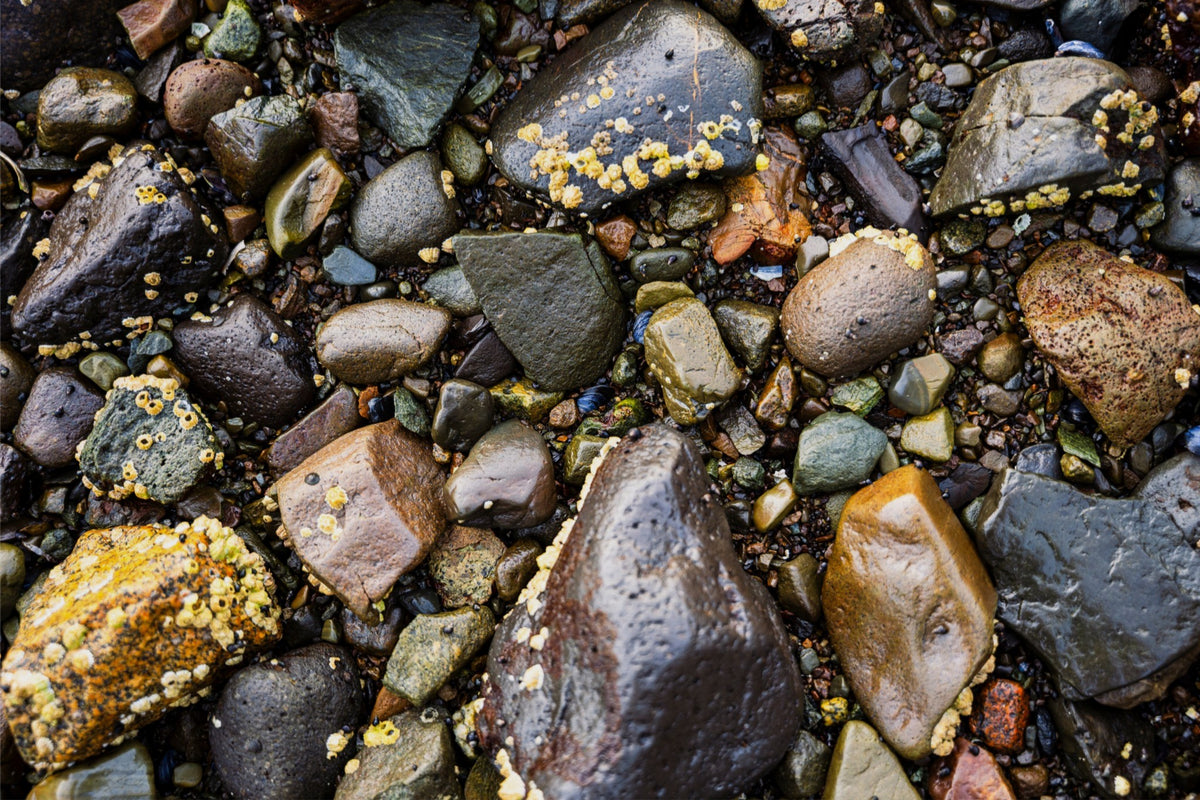 Stones of the Shore