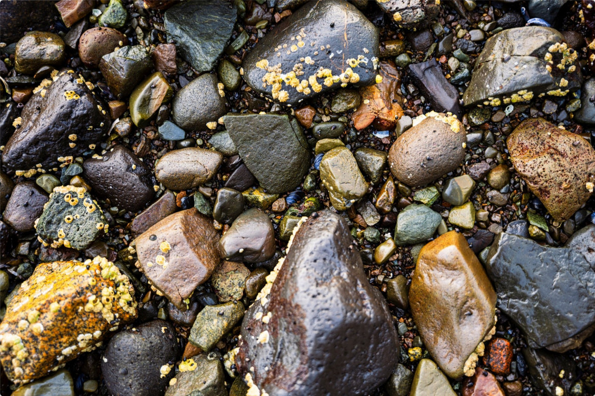 Stones of the Shore