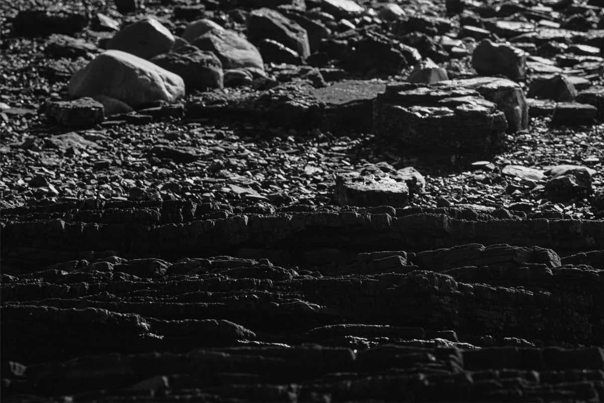 Layers of the Shore