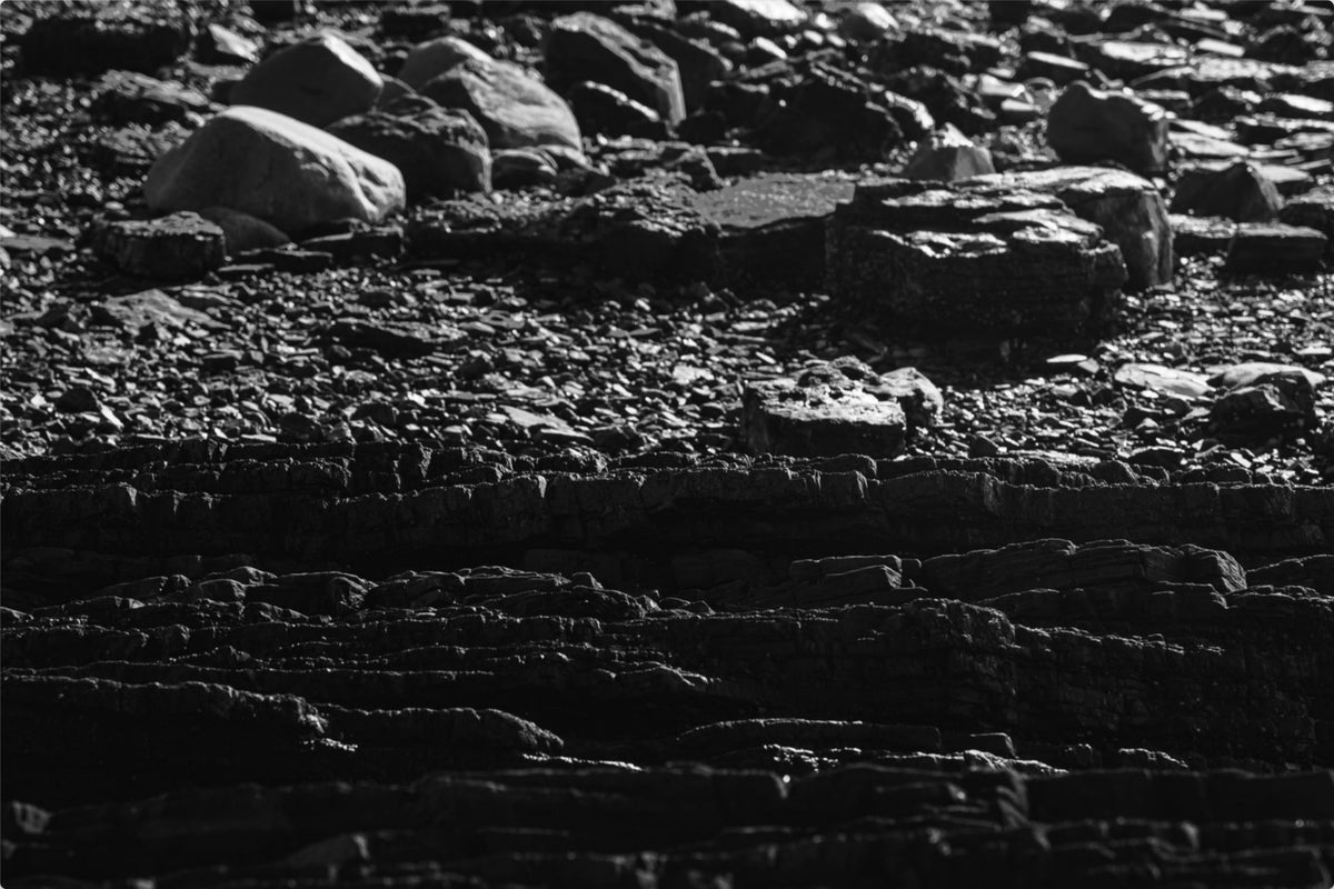 Layers of the Shore