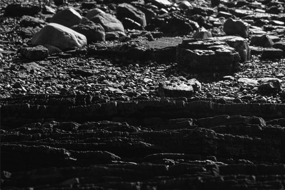 Layers of the Shore