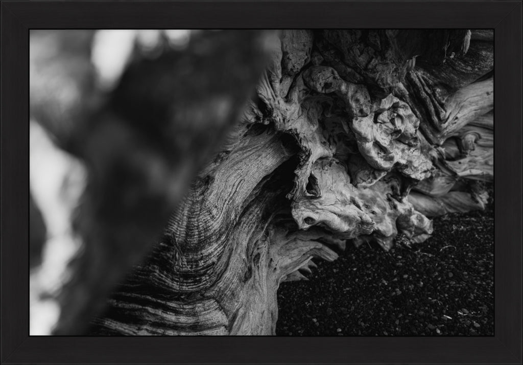 Shaped by Time