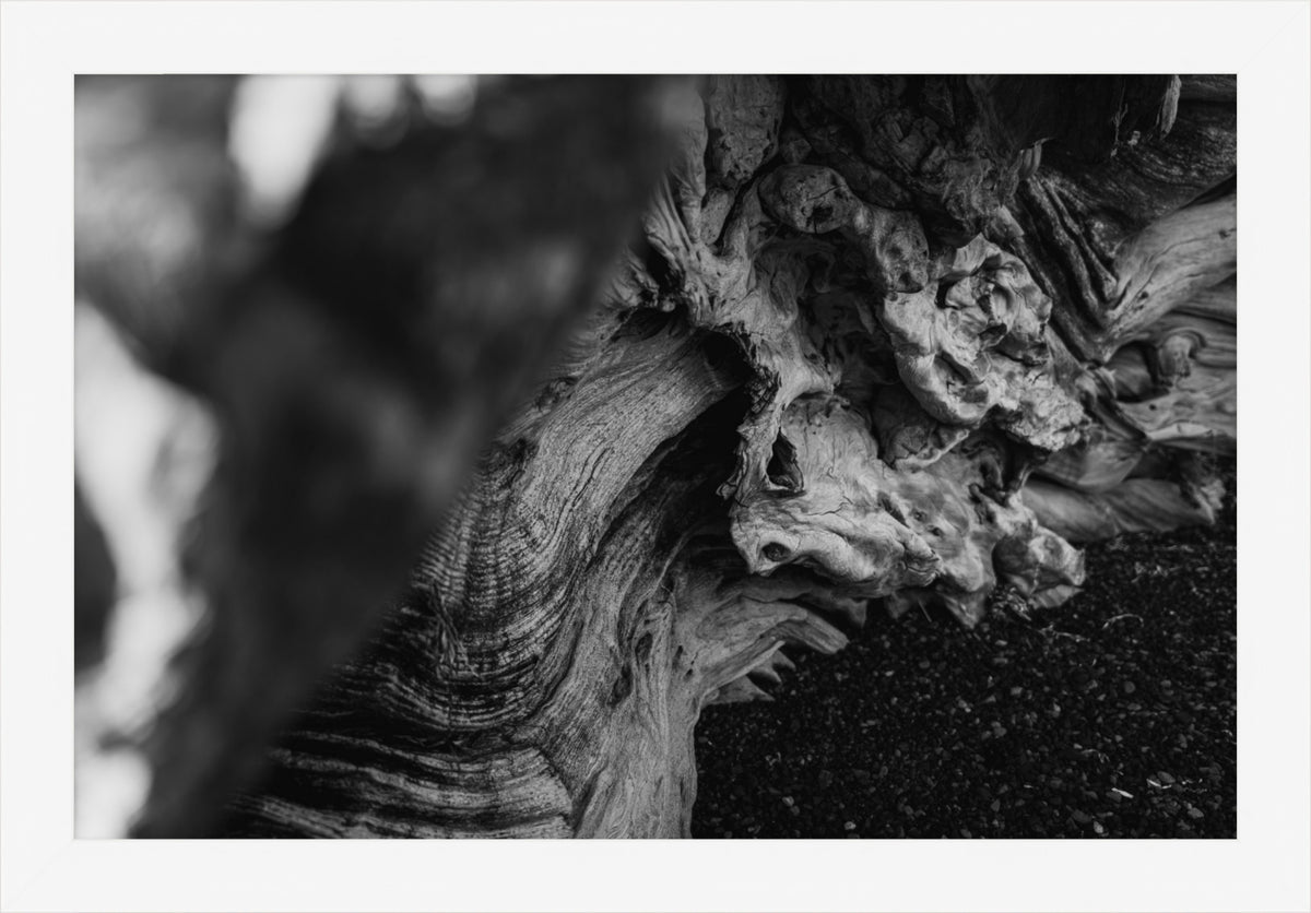 Shaped by Time