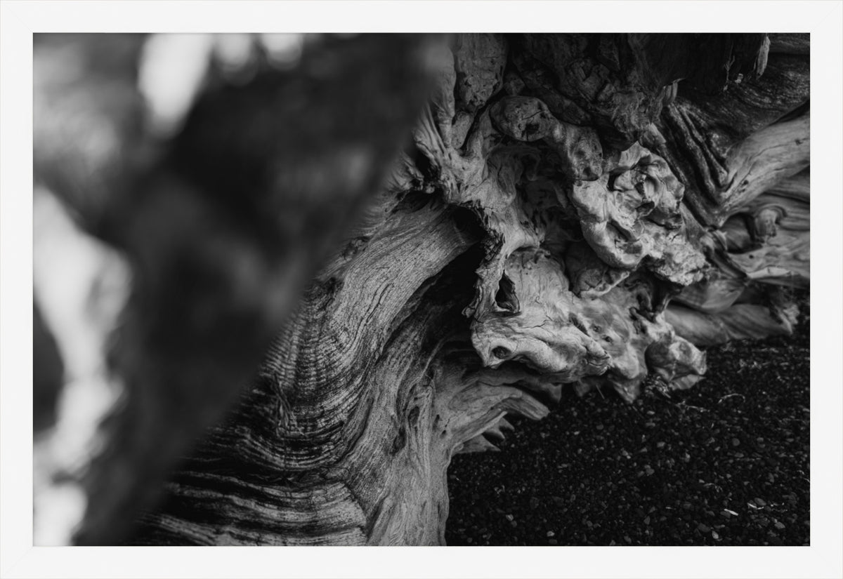 Shaped by Time