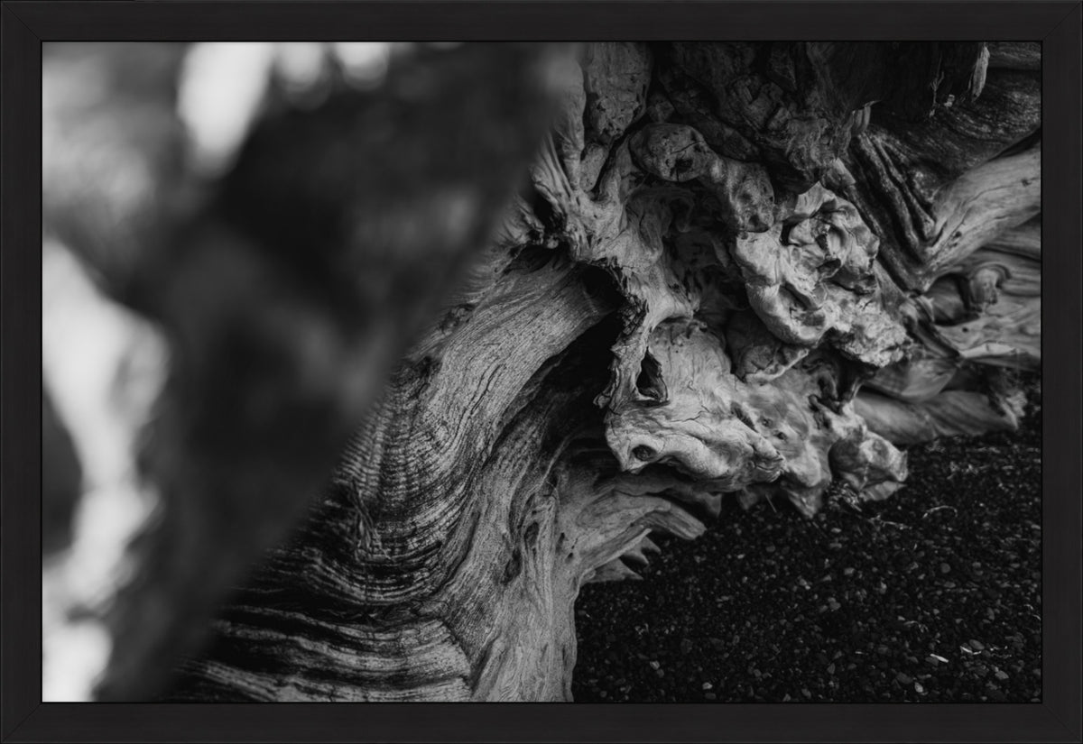 Shaped by Time