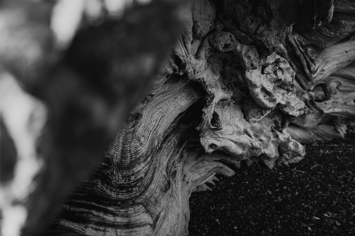 Shaped by Time
