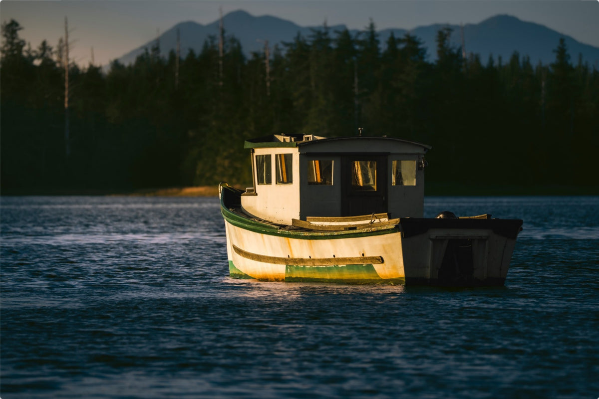Anchored