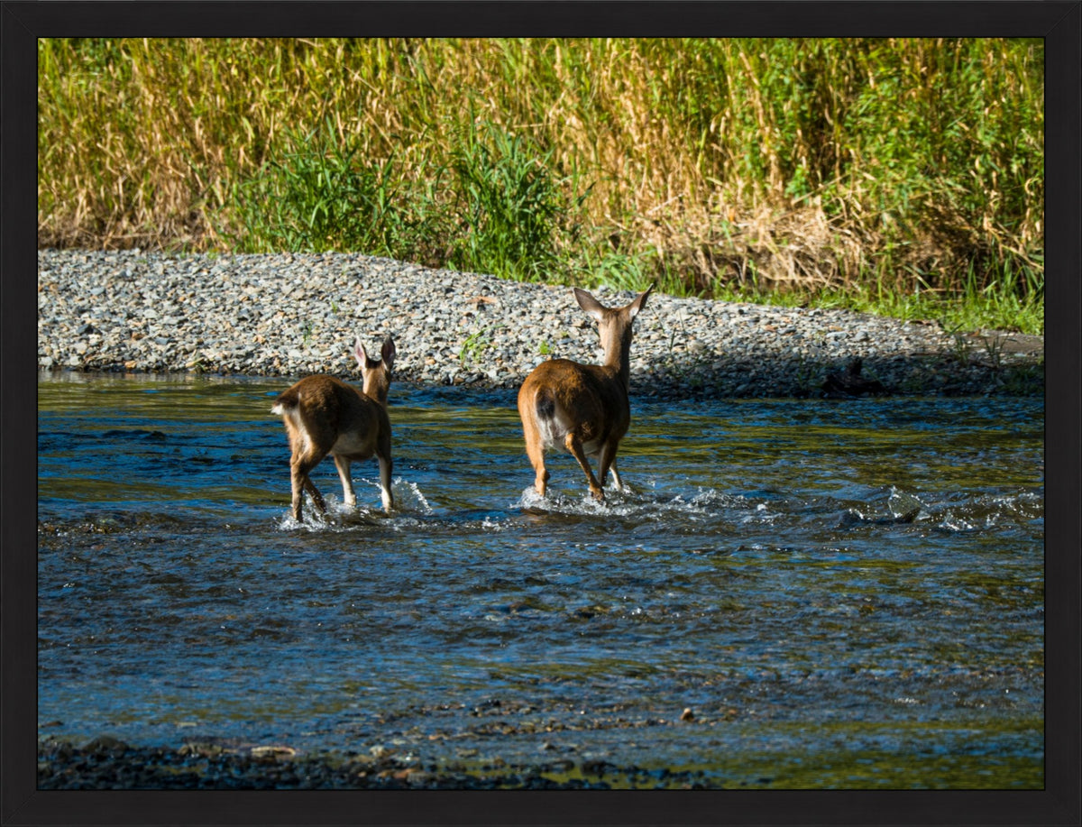 Crossing Together