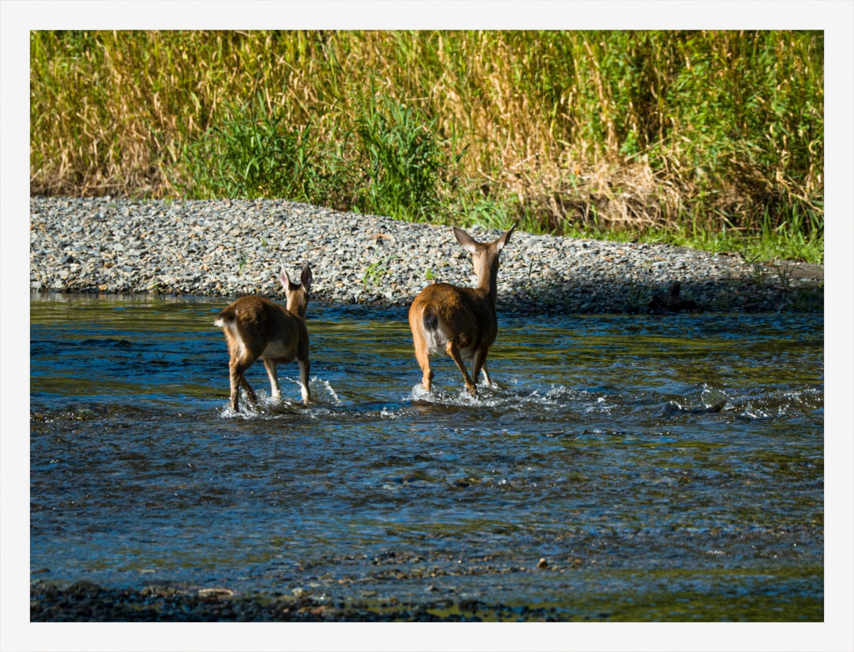Crossing Together