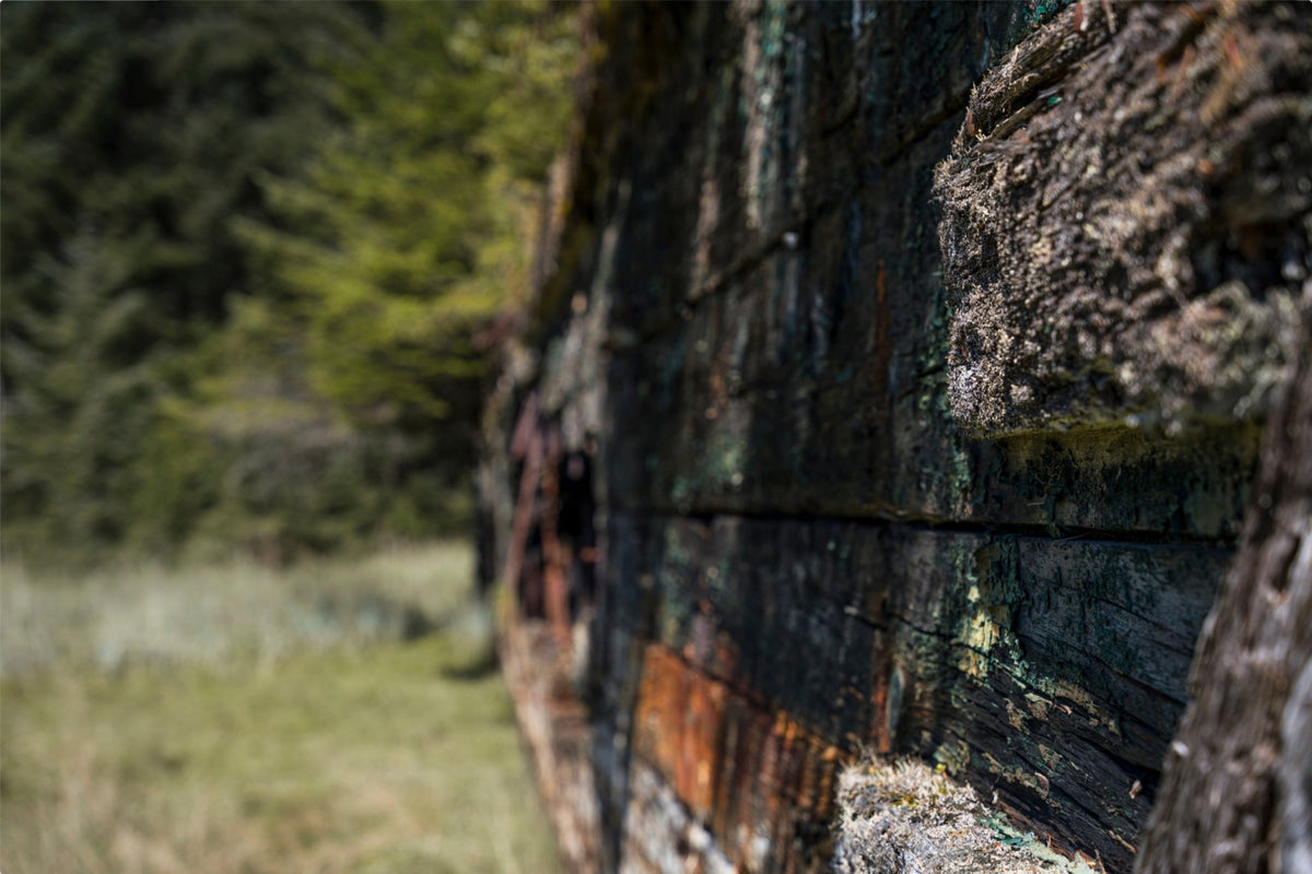 Weathered by Time