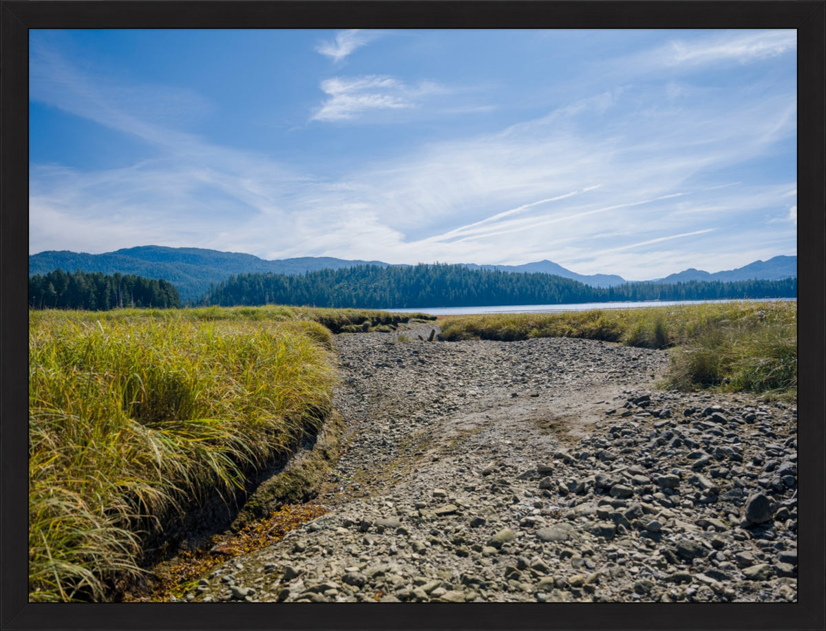 Where the Tide Returns