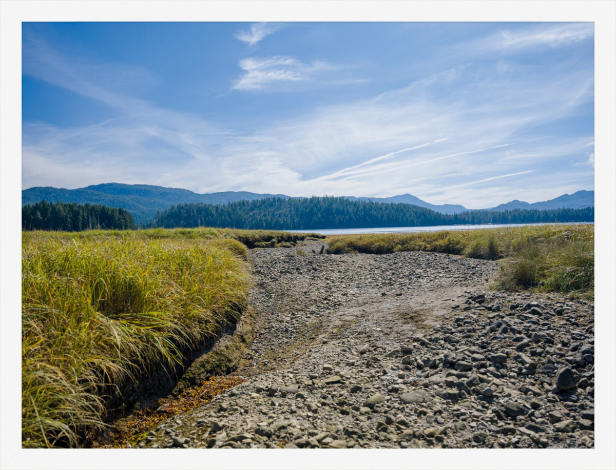 Where the Tide Returns
