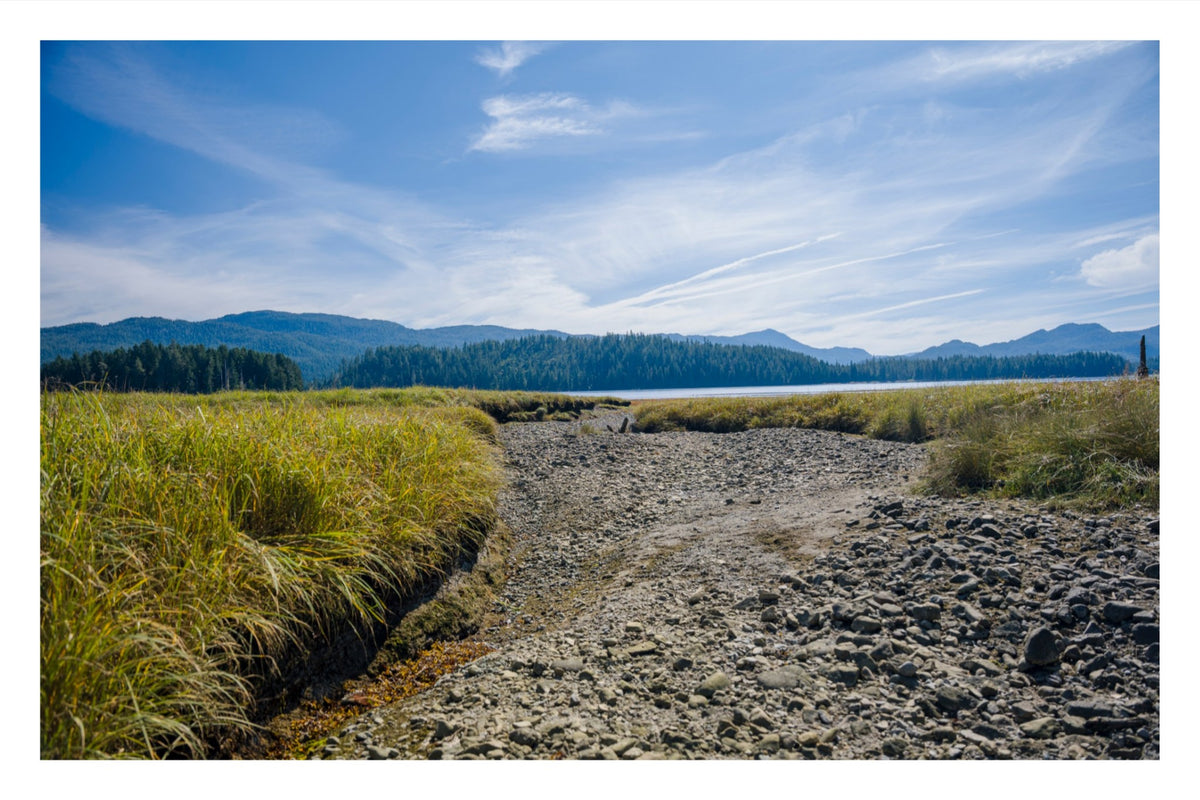 Where the Tide Returns