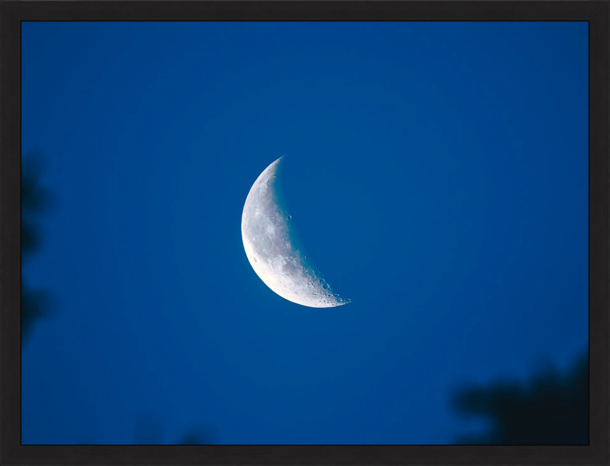 Moon in Blue