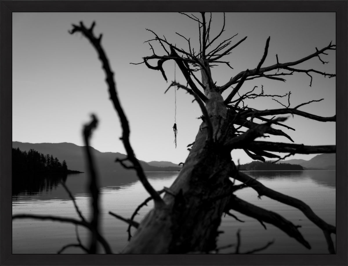 The Fallen Sentinel
