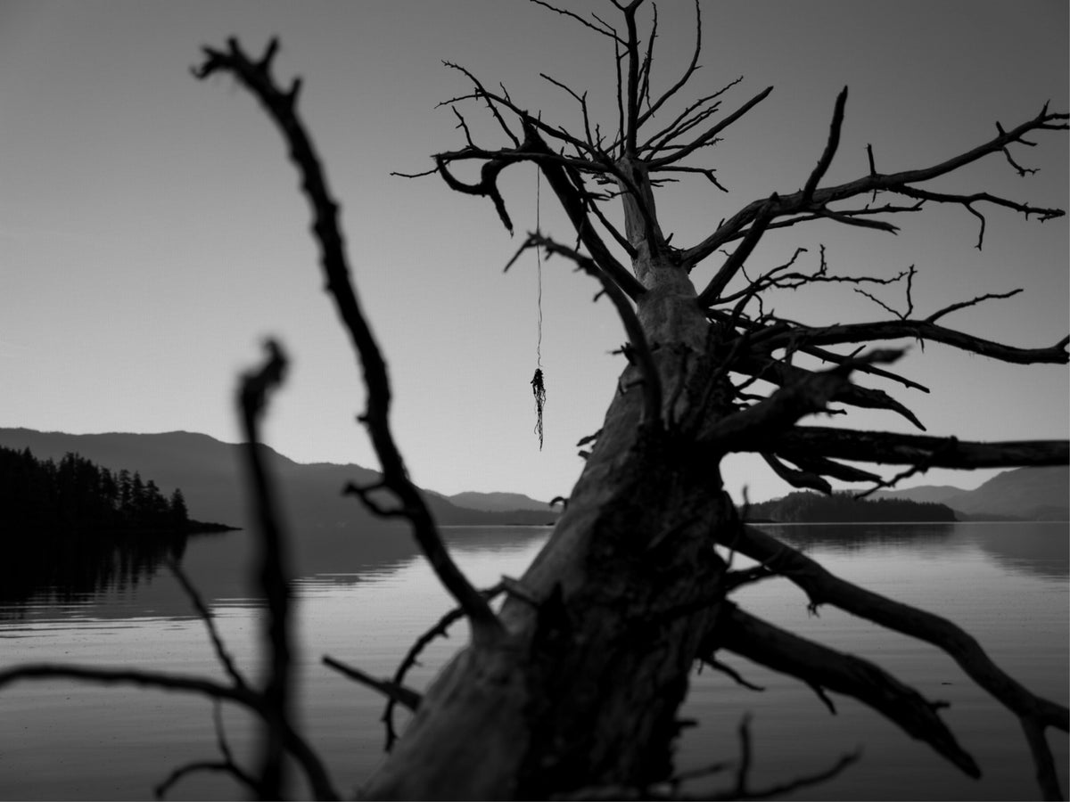 The Fallen Sentinel