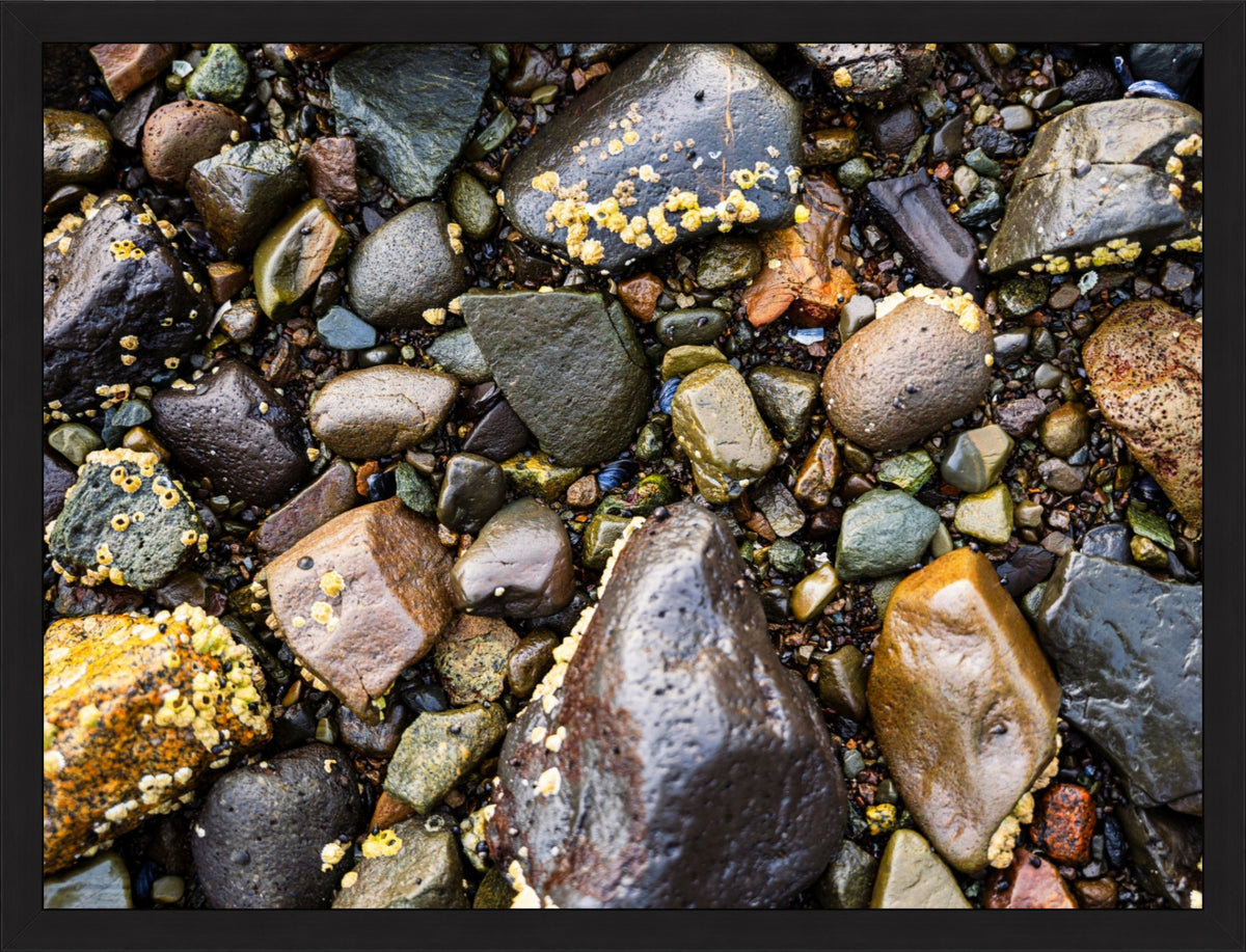 Stones of the Shore