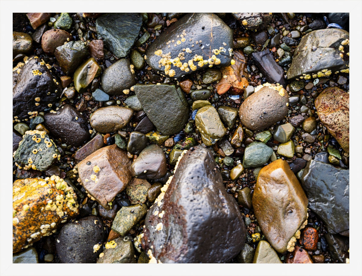 Stones of the Shore