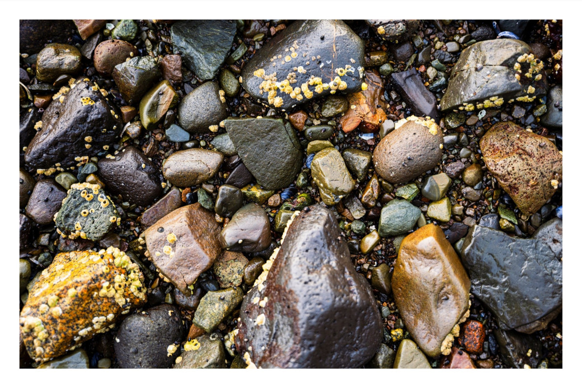 Stones of the Shore