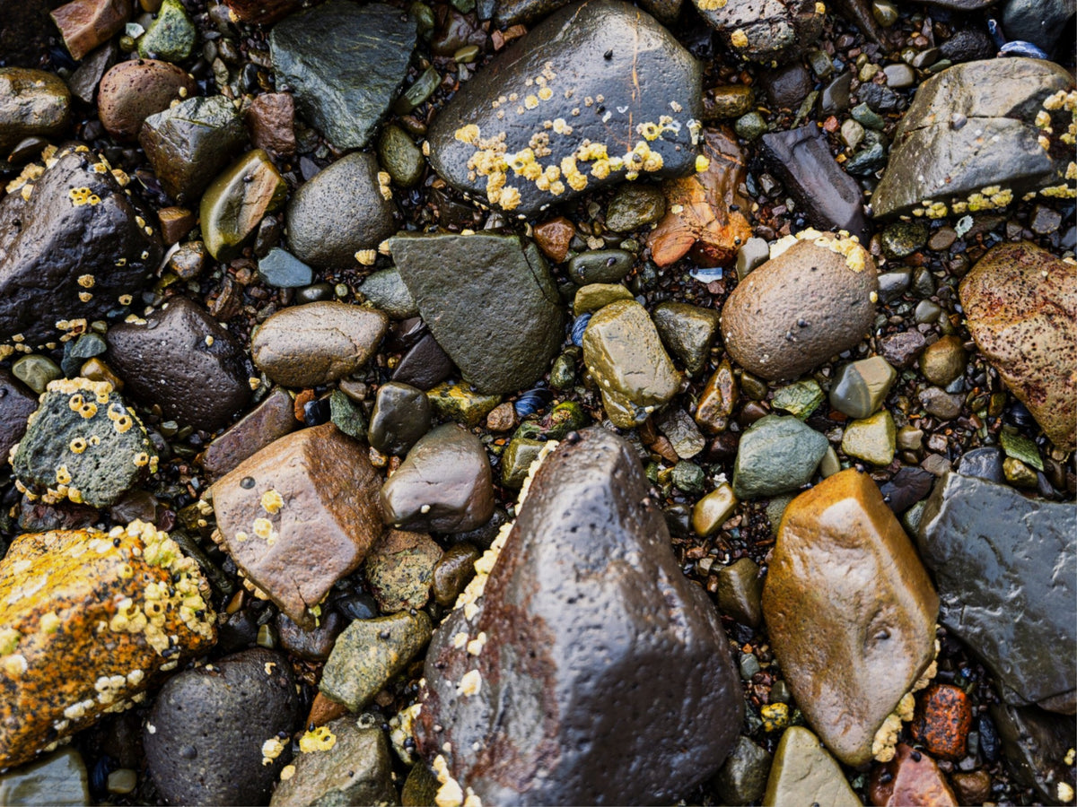 Stones of the Shore