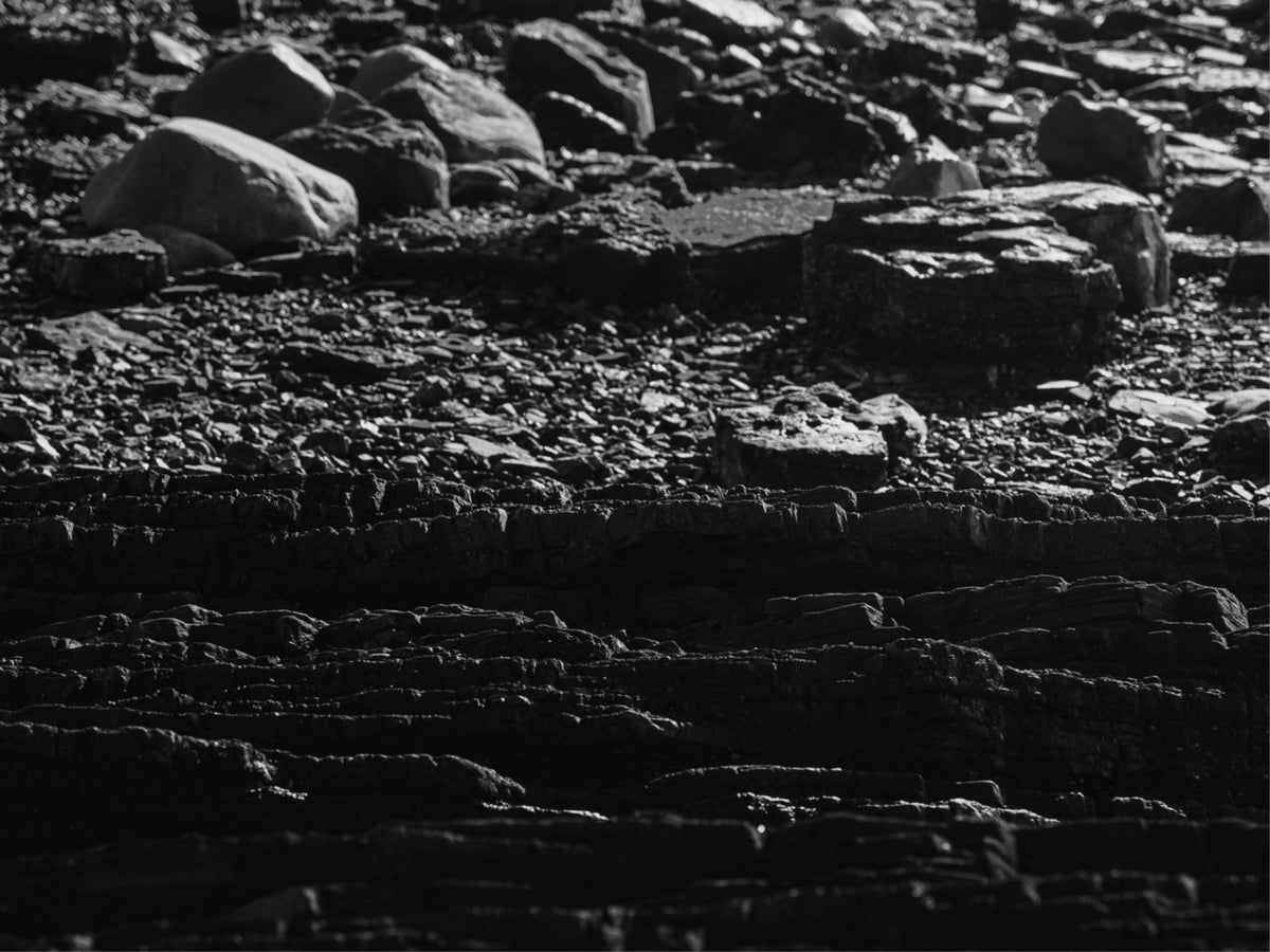 Layers of the Shore
